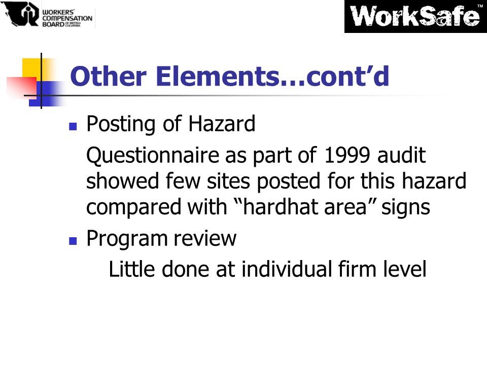 Other Elements…cont’d Posting of Hazard Questionnaire as part of 1999 audit showed few sites posted for this hazard compared with hardhat area signs Program review Little done at individual firm level