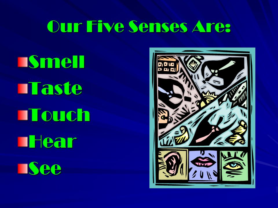 Our Five Senses Are: SmellTasteTouchHearSee