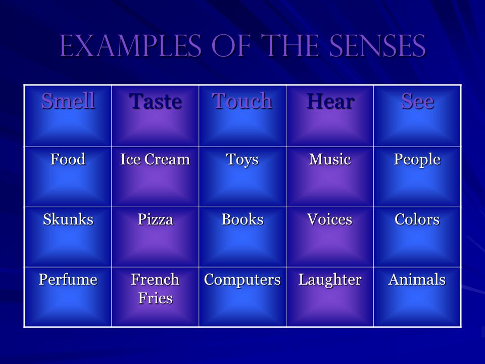 Examples of the Senses SmellTasteTouchHearSee Food Ice Cream ToysMusicPeople SkunksPizzaBooksVoicesColors Perfume French Fries ComputersLaughterAnimals