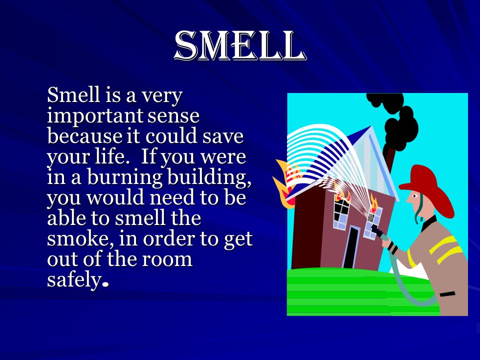 Smell Smell is a very important sense because it could save your life.