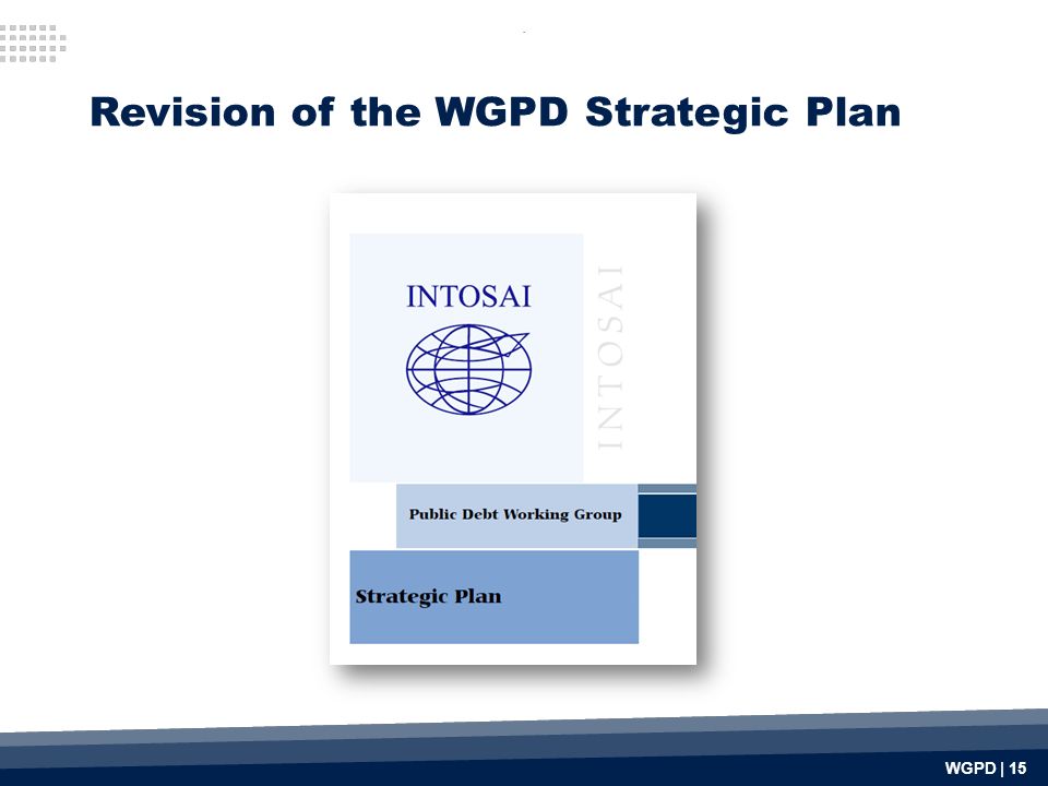 . WGPD | 15 Revision of the WGPD Strategic Plan