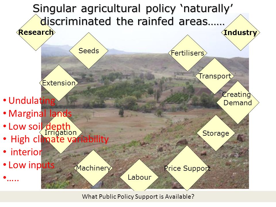 Seeds Fertilisers Extension Creating Demand Price Support Irrigation Labour Machinery Research Industry Transport Storage Singular agricultural policy ‘naturally’ discriminated the rainfed areas…… What Public Policy Support is Available.