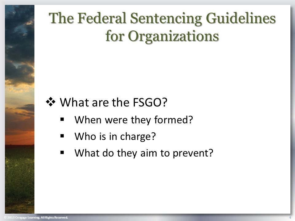The Federal Sentencing Guidelines for Organizations  What are the FSGO.