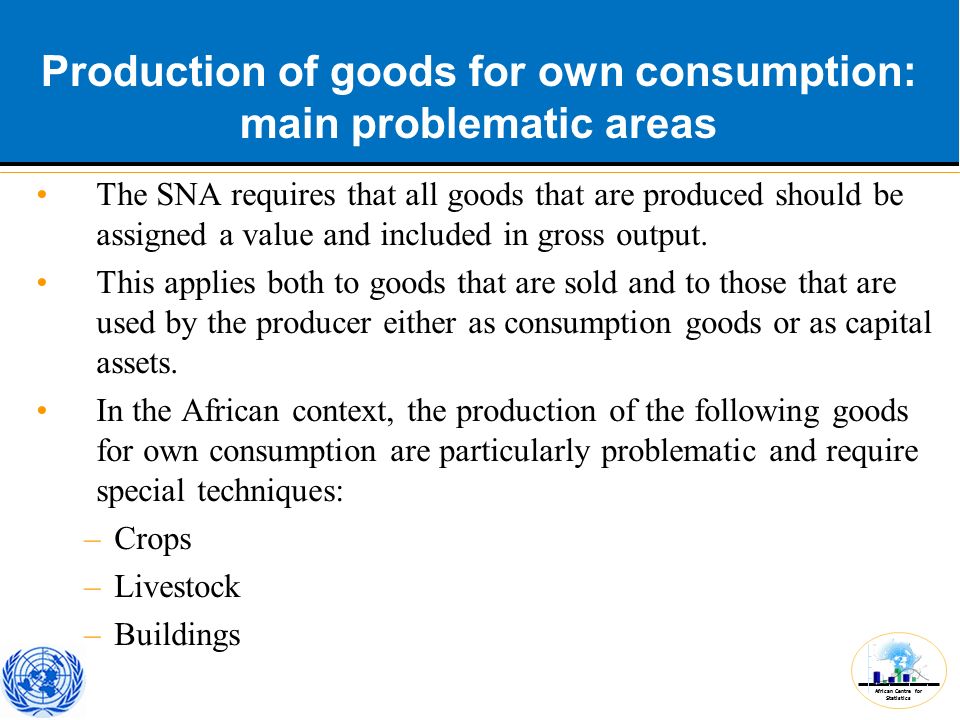 African Centre for Statistics Production of goods for own consumption: main problematic areas The SNA requires that all goods that are produced should be assigned a value and included in gross output.