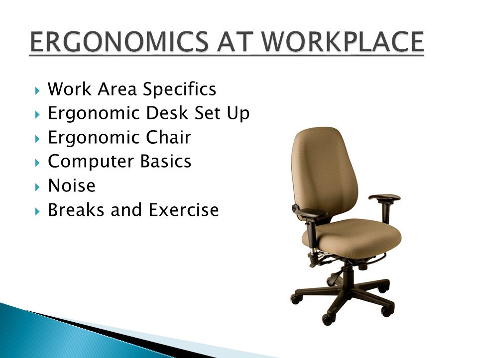  Work Area Specifics  Ergonomic Desk Set Up  Ergonomic Chair  Computer Basics  Noise  Breaks and Exercise
