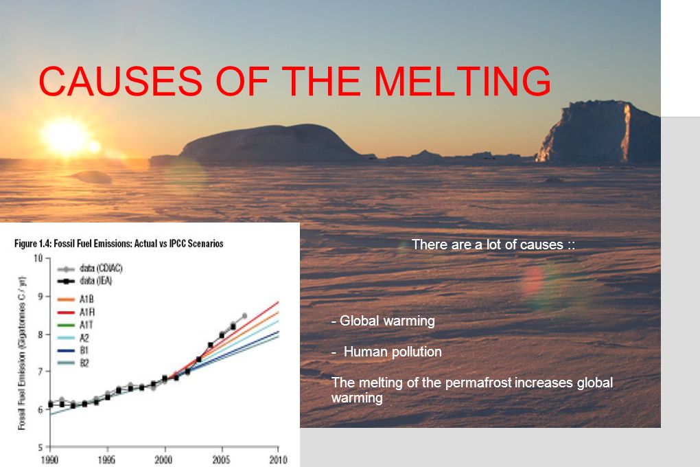 CAUSES OF THE MELTING There are a lot of causes :: - Global warming - Human pollution The melting of the permafrost increases global warming