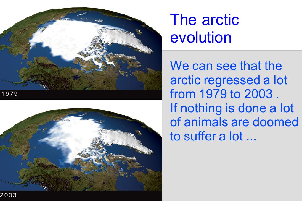 The arctic evolution We can see that the arctic regressed a lot from 1979 to 2003.