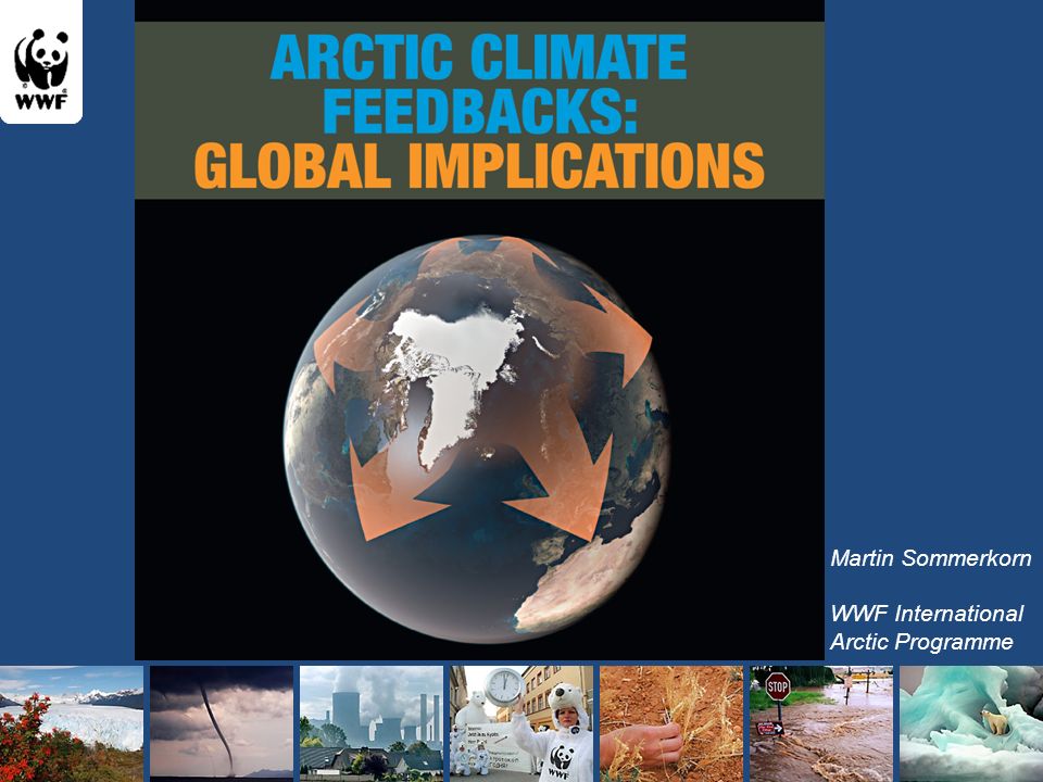 Martin Sommerkorn WWF International Arctic Programme
