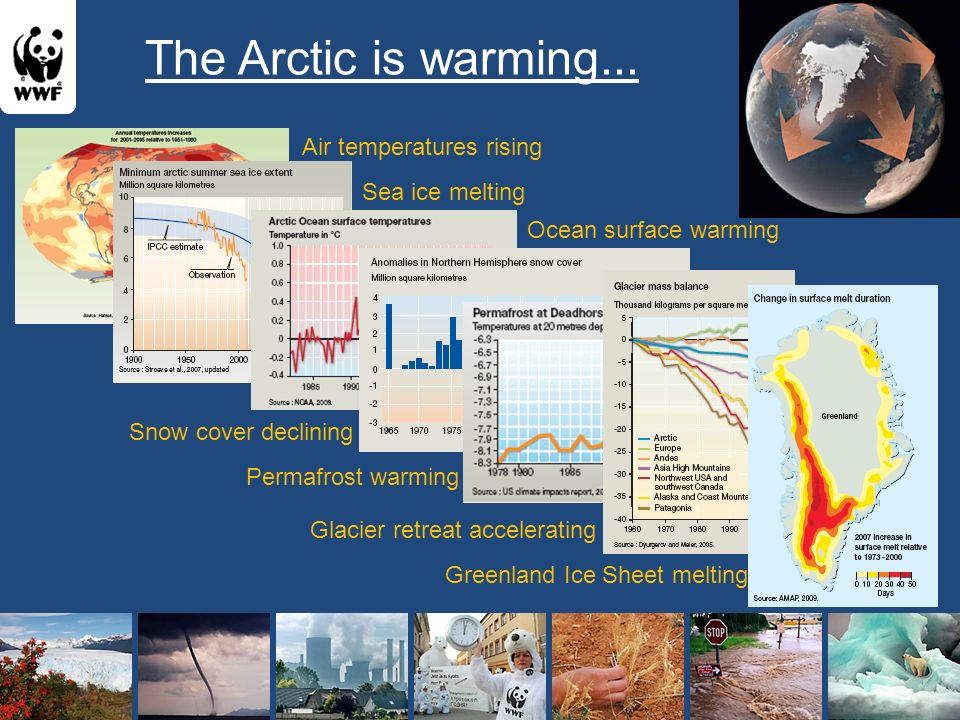 The Arctic is warming...