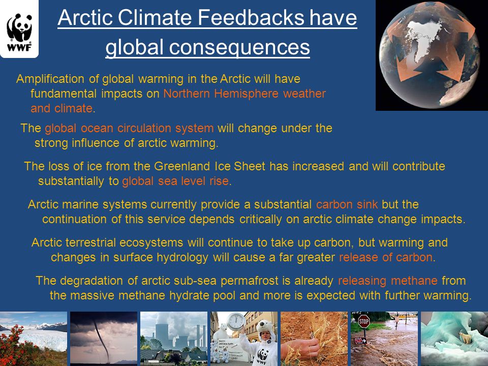 Amplification of global warming in the Arctic will have fundamental impacts on Northern Hemisphere weather and climate.