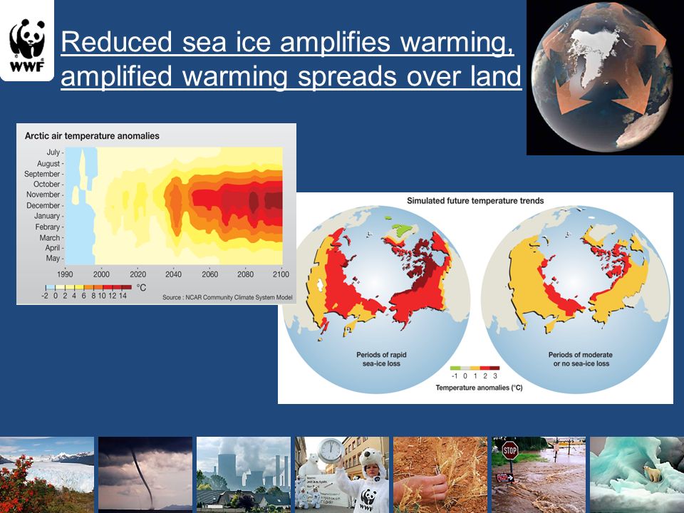 Reduced sea ice amplifies warming, amplified warming spreads over land