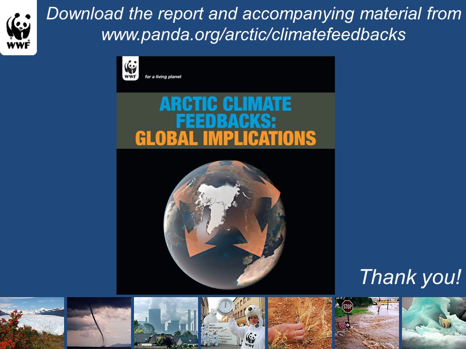 Thank you! Download the report and accompanying material from