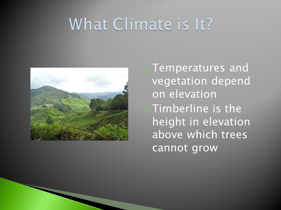  Temperatures and vegetation depend on elevation  Timberline is the height in elevation above which trees cannot grow