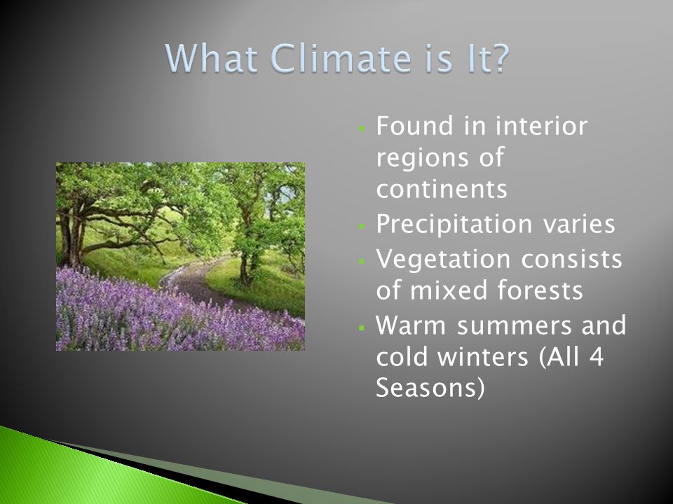  Found in interior regions of continents  Precipitation varies  Vegetation consists of mixed forests  Warm summers and cold winters (All 4 Seasons)