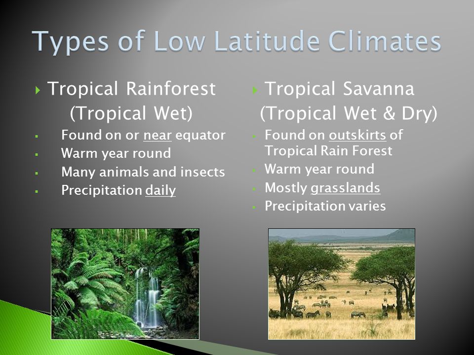  Tropical Rainforest (Tropical Wet)  Found on or near equator  Warm year round  Many animals and insects  Precipitation daily  Tropical Savanna (Tropical Wet & Dry)  Found on outskirts of Tropical Rain Forest  Warm year round  Mostly grasslands  Precipitation varies