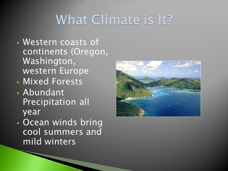  Western coasts of continents (Oregon, Washington, western Europe  Mixed Forests  Abundant Precipitation all year  Ocean winds bring cool summers and mild winters