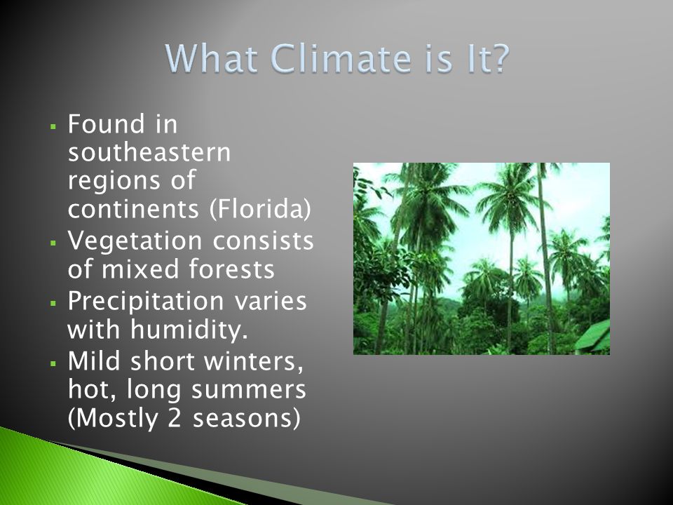  Found in southeastern regions of continents (Florida)  Vegetation consists of mixed forests  Precipitation varies with humidity.
