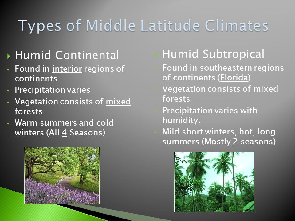  Humid Continental  Found in interior regions of continents  Precipitation varies  Vegetation consists of mixed forests  Warm summers and cold winters (All 4 Seasons)  Humid Subtropical  Found in southeastern regions of continents (Florida)  Vegetation consists of mixed forests  Precipitation varies with humidity.
