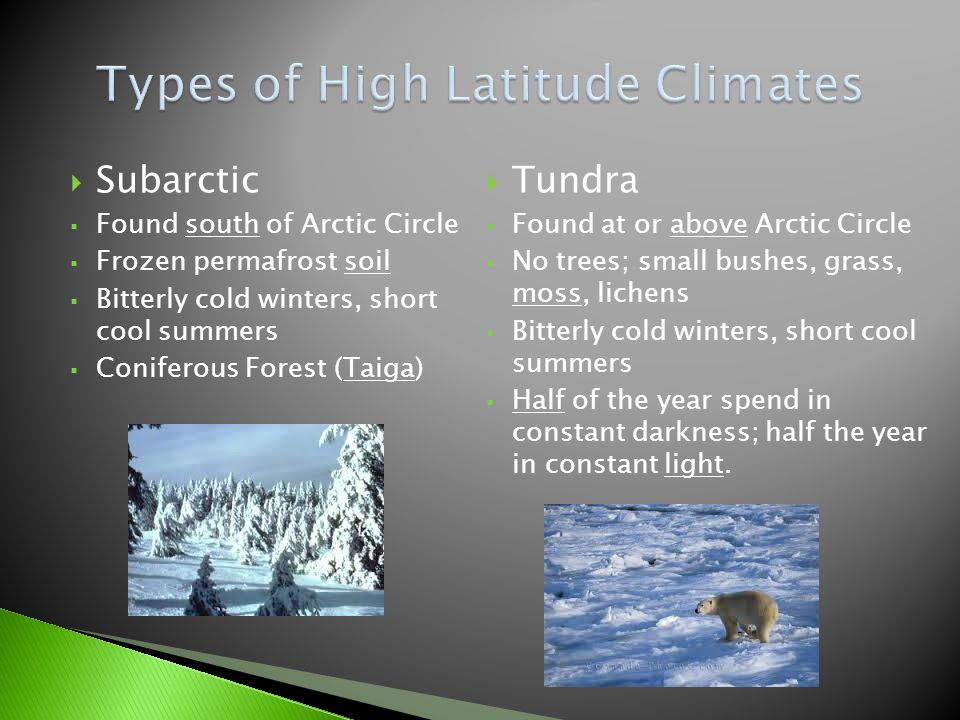 Subarctic  Found south of Arctic Circle  Frozen permafrost soil  Bitterly cold winters, short cool summers  Coniferous Forest (Taiga)  Tundra  Found at or above Arctic Circle  No trees; small bushes, grass, moss, lichens  Bitterly cold winters, short cool summers  Half of the year spend in constant darkness; half the year in constant light.