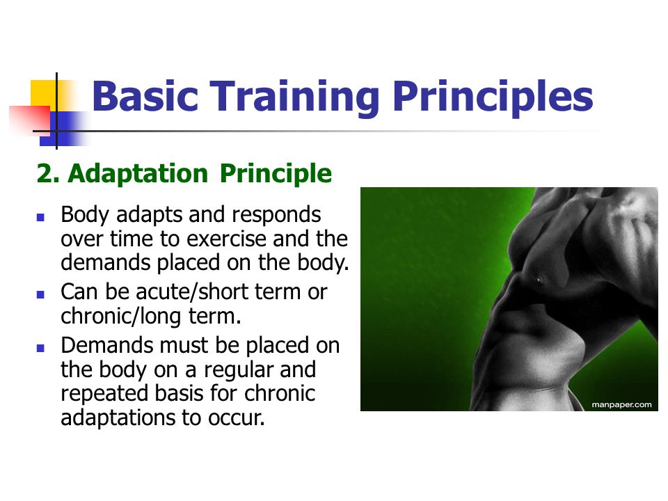 Basic Training Principles 2.