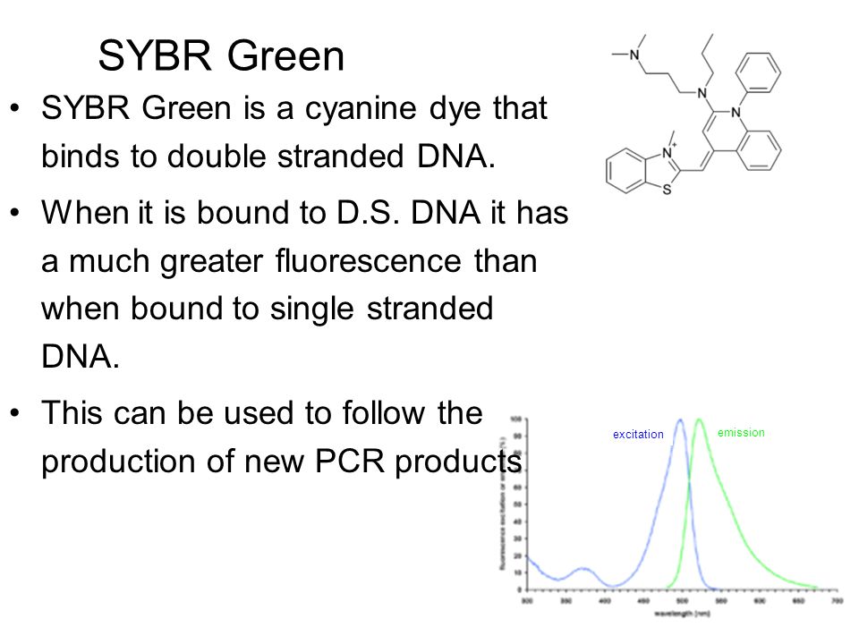 Quantitative Real Time PCR USING SYBR GREEN. SYBR Green SYBR Green is a  cyanine dye that binds to double stranded DNA. When it is bound to . DNA  it. - ppt download