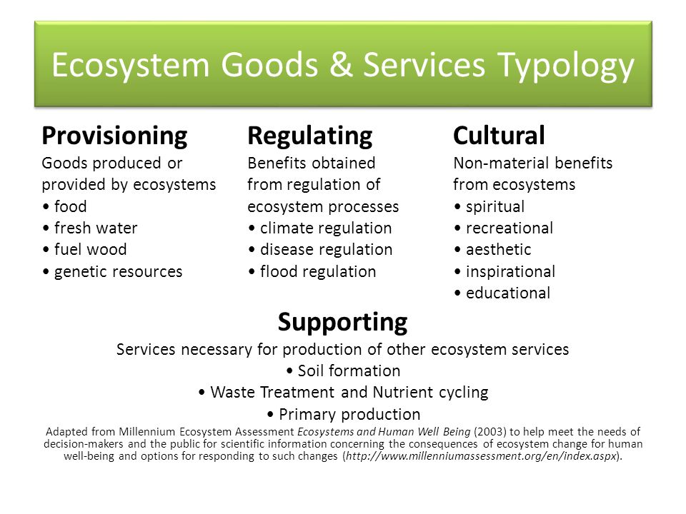 Ecosystem Goods & Services Typology ProvisioningRegulatingCultural Goods produced orBenefits obtainedNon-material benefits provided by ecosystemsfrom regulation of from ecosystems foodecosystem processes spiritual fresh water climate regulation recreational fuel wood disease regulation aesthetic genetic resources flood regulation inspirational educational Supporting Services necessary for production of other ecosystem services Soil formation Waste Treatment and Nutrient cycling Primary production Adapted from Millennium Ecosystem Assessment Ecosystems and Human Well Being (2003) to help meet the needs of decision-makers and the public for scientific information concerning the consequences of ecosystem change for human well-being and options for responding to such changes (