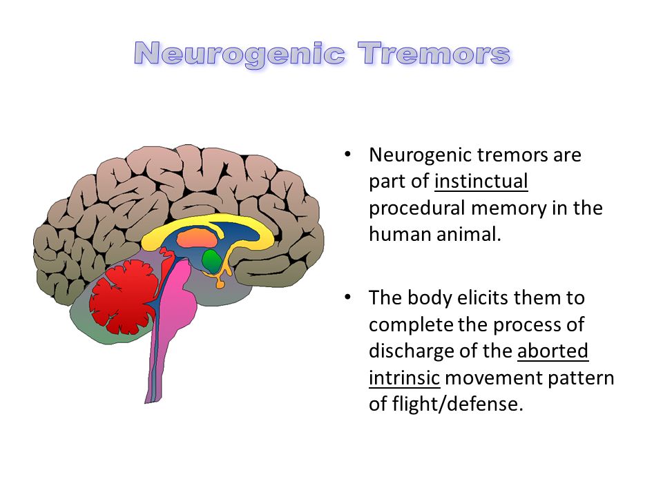 Paul brain. Триединый мозг. Теория Триединого мозга. Мозг неокортекс. Триединый мозг пол Маклин.