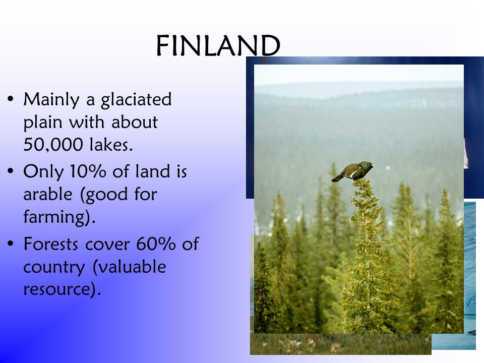 FINLAND Mainly a glaciated plain with about 50,000 lakes.
