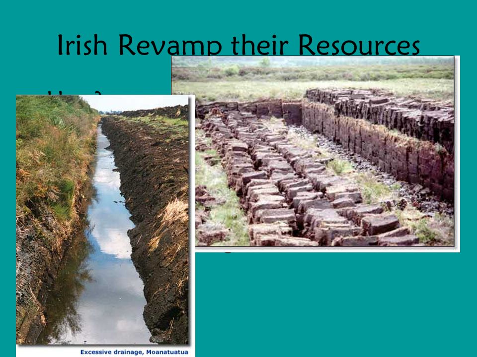 Irish Revamp their Resources How. Created PEAT BOGS.