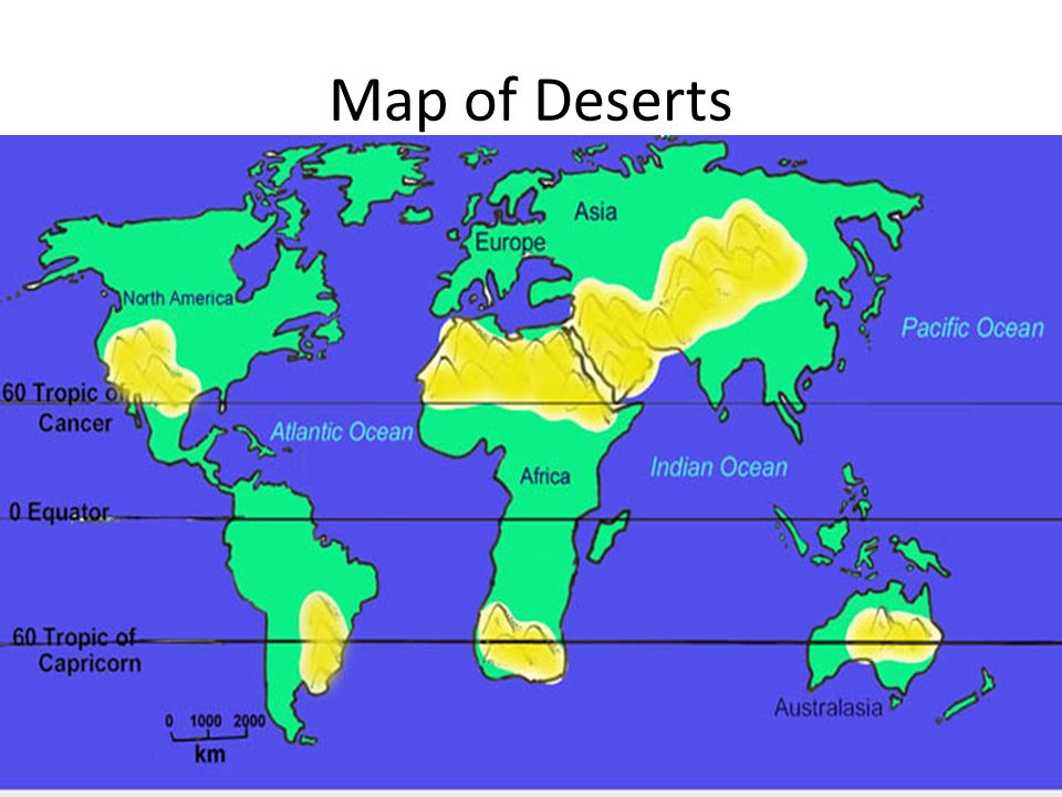 Map Of All Deserts Deserts. Map Of Deserts Information Who - Many People Live In, Usually  Muslims, Indians And Nomads. What- Deserts Are All Extremely Dry, And Can  Be One. - Ppt Download