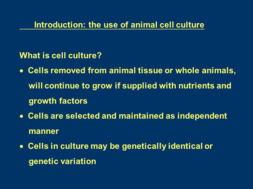 課程網頁 Introduction: the use of animal cell culture What is cell culture?   Cells removed from animal tissue or whole animals, - ppt download