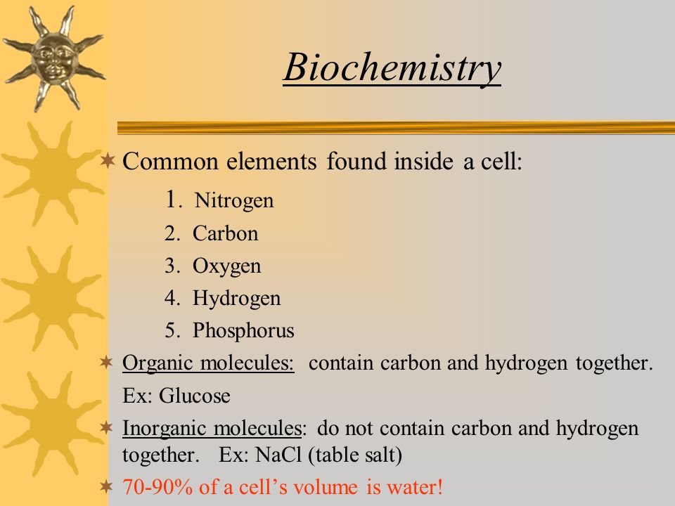 Biochemistry  Common elements found inside a cell: 1.