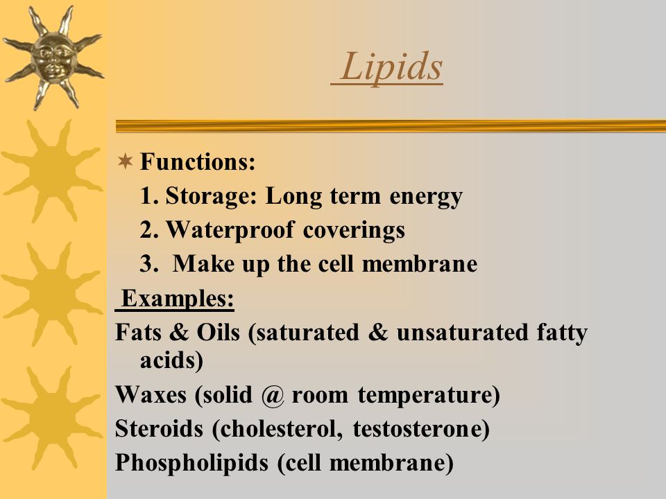 Lipids  Functions: 1. Storage: Long term energy 2.