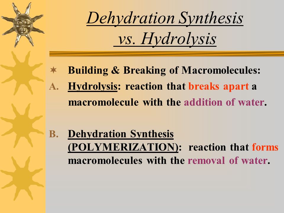 Dehydration Synthesis vs. Hydrolysis  Building & Breaking of Macromolecules: A.