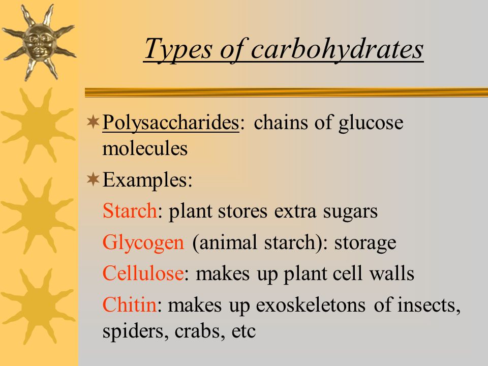 Types of carbohydrates  Polysaccharides: chains of glucose molecules  Examples: Starch: plant stores extra sugars Glycogen (animal starch): storage Cellulose: makes up plant cell walls Chitin: makes up exoskeletons of insects, spiders, crabs, etc