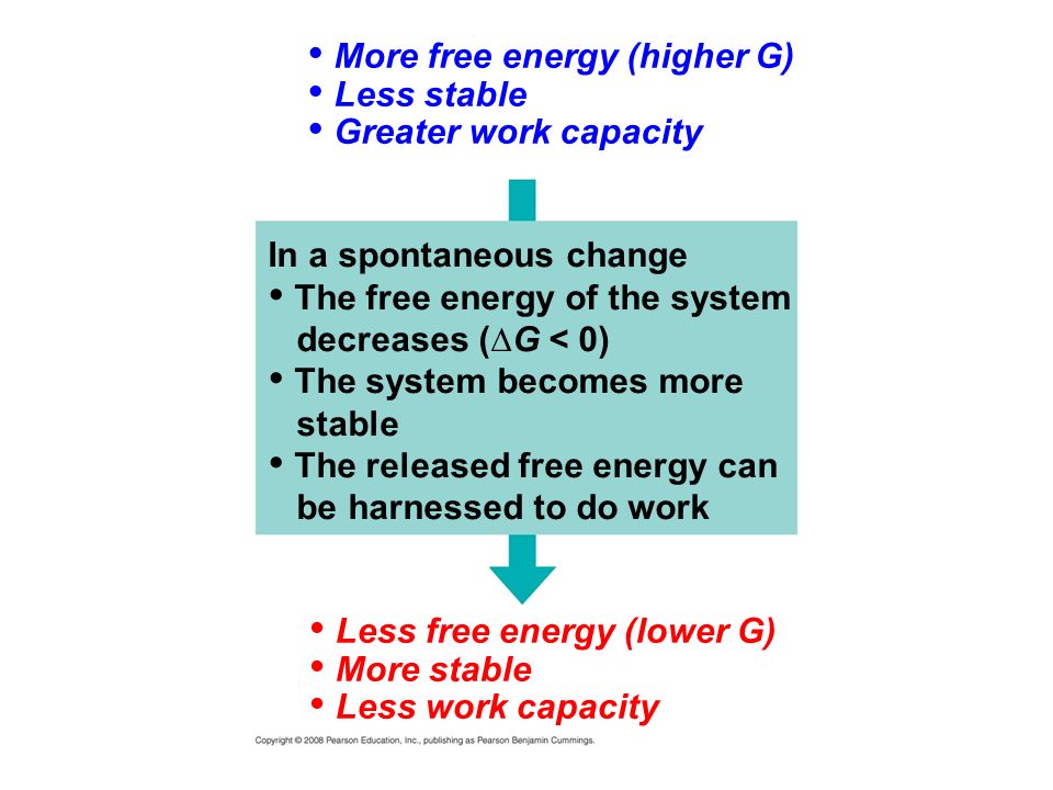 Less free energy (lower G) More stable Less work capacity More free energy (higher G) Less stable Greater work capacity In a spontaneous change The free energy of the system decreases (∆G < 0) The system becomes more stable The released free energy can be harnessed to do work