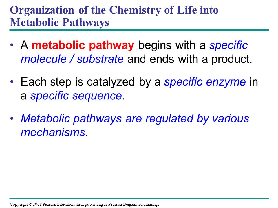 Organization of the Chemistry of Life into Metabolic Pathways A metabolic pathway begins with a specific molecule / substrate and ends with a product.
