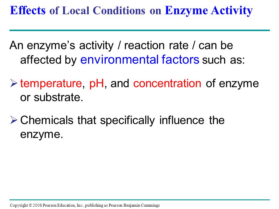 Effects of Local Conditions on Enzyme Activity An enzyme’s activity / reaction rate / can be affected by environmental factors such as:  temperature, pH, and concentration of enzyme or substrate.