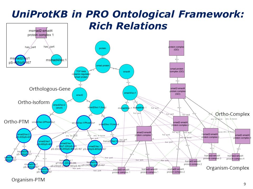 Integration of PRO and UniProtKB Amherst, NY May 16, 2013 Cathy H. Wu, Ph.D. PRO-PO-GO Meeting. -  ppt download
