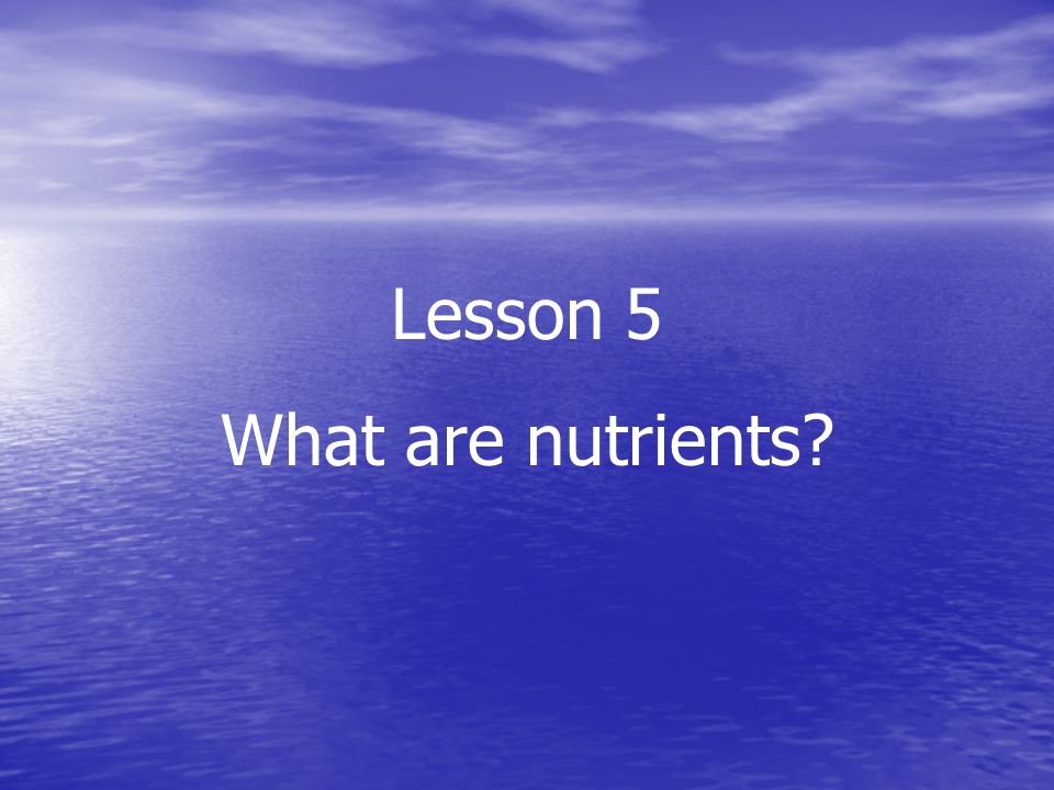Lesson 5 What are nutrients