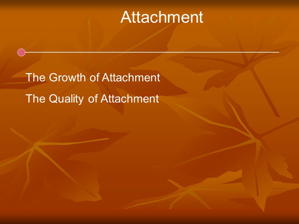 Attachment The Growth of Attachment The Quality of Attachment