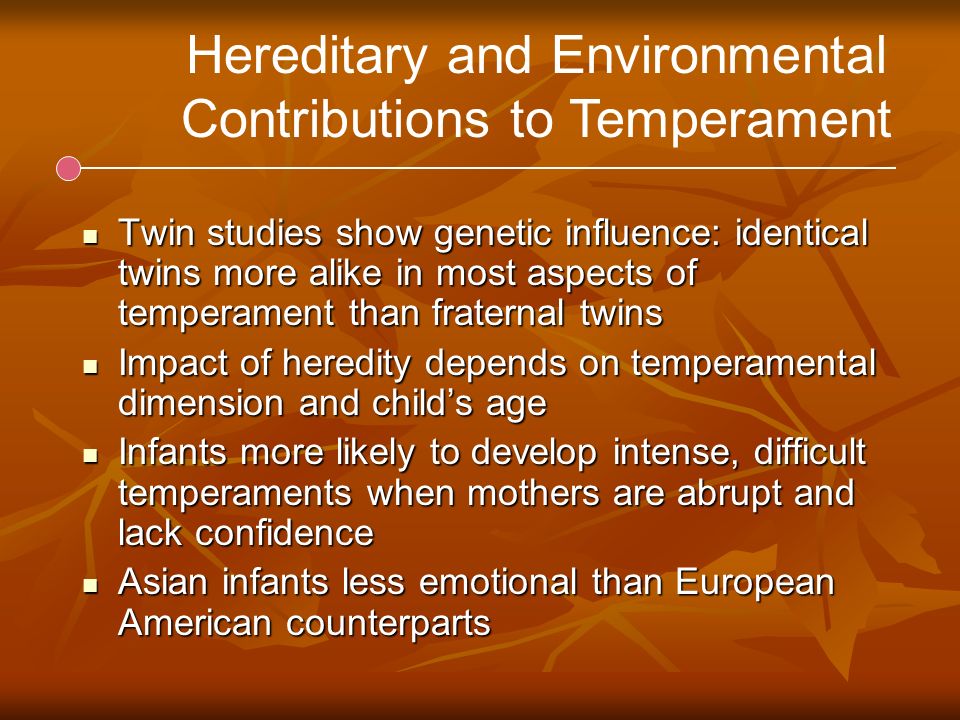 Hereditary and Environmental Contributions to Temperament Twin studies show genetic influence: identical twins more alike in most aspects of temperament than fraternal twins Twin studies show genetic influence: identical twins more alike in most aspects of temperament than fraternal twins Impact of heredity depends on temperamental dimension and child’s age Impact of heredity depends on temperamental dimension and child’s age Infants more likely to develop intense, difficult temperaments when mothers are abrupt and lack confidence Infants more likely to develop intense, difficult temperaments when mothers are abrupt and lack confidence Asian infants less emotional than European American counterparts Asian infants less emotional than European American counterparts