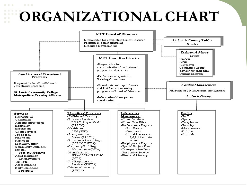 Mta Org Chart