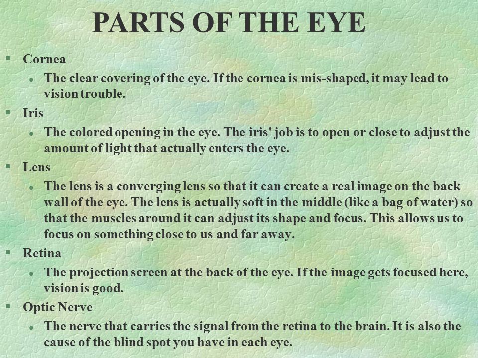 §Cornea l The clear covering of the eye.