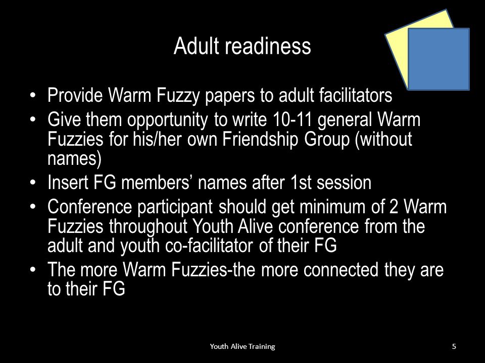 Adult readiness Provide Warm Fuzzy papers to adult facilitators Give them opportunity to write general Warm Fuzzies for his/her own Friendship Group (without names) Insert FG members’ names after 1st session Conference participant should get minimum of 2 Warm Fuzzies throughout Youth Alive conference from the adult and youth co-facilitator of their FG The more Warm Fuzzies-the more connected they are to their FG Youth Alive Training5