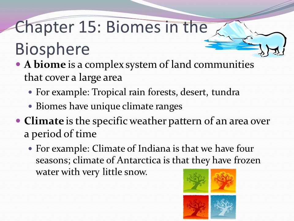 biome examples