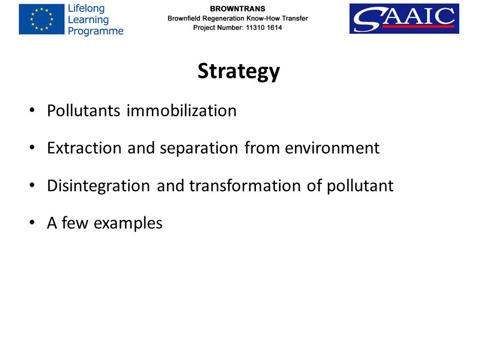 Strategy Pollutants immobilization Extraction and separation from environment Disintegration and transformation of pollutant A few examples