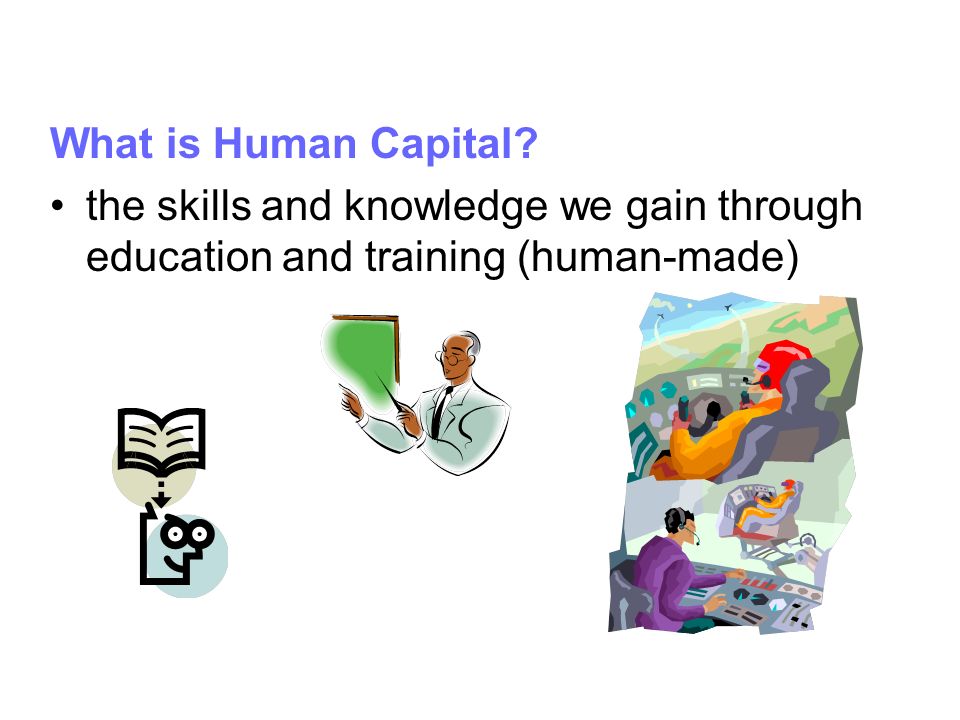 What is Human Capital the skills and knowledge we gain through education and training (human-made)