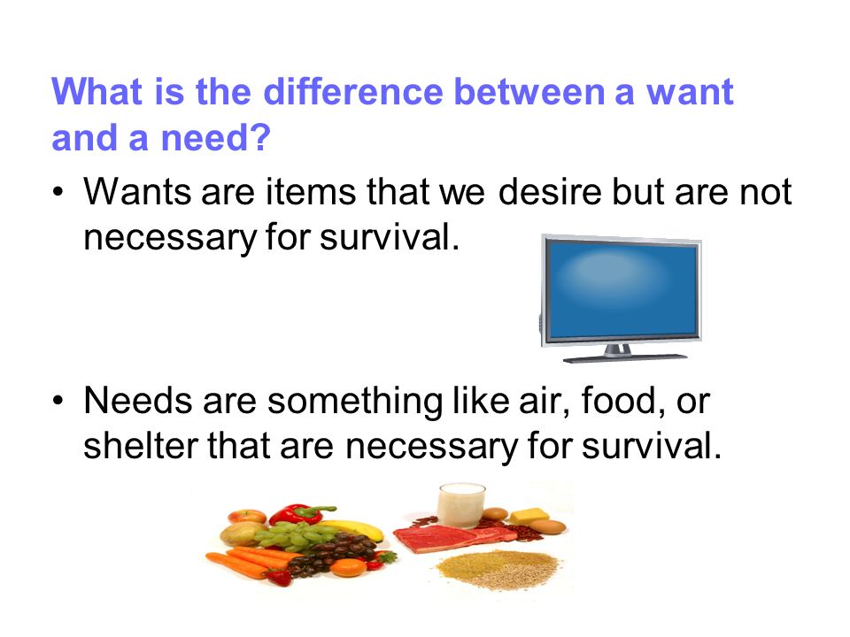 What is the difference between a want and a need.