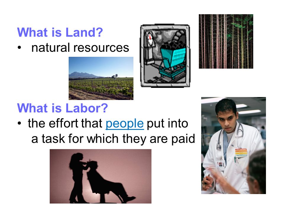 What is Land. natural resources What is Labor.